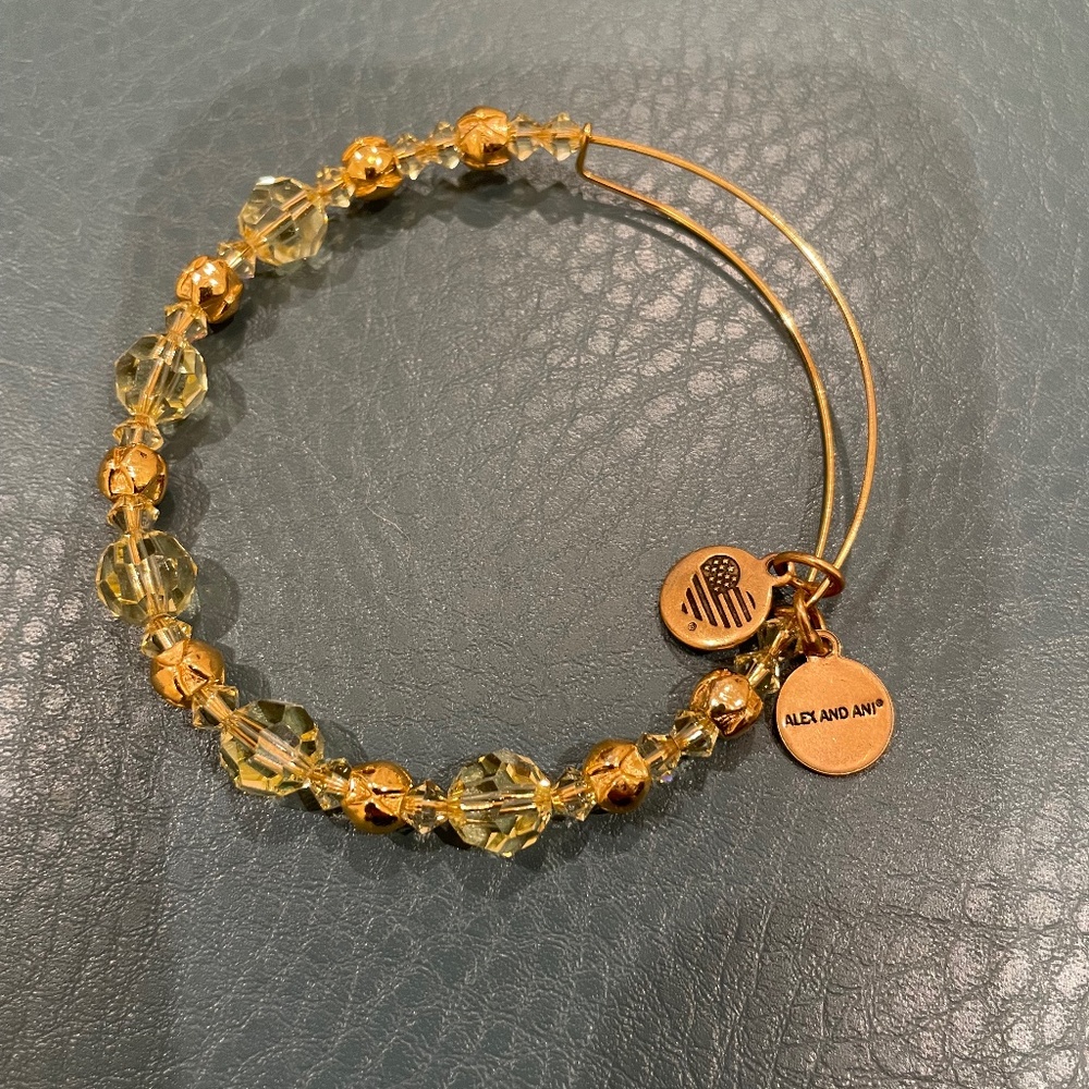 Alex and Ani Crystal Bangle Bracelet
